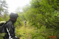 immagini_021