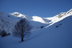 DSCN3471