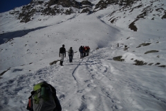 DSCN3485