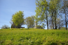 Immagine_007