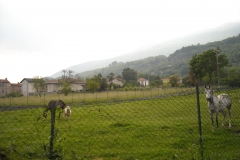 DSCN0116