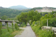 DSCN0117