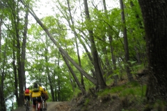 DSCN0122