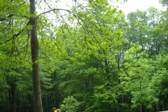 DSCN0128