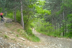 DSCN6465