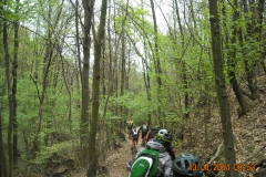 DSCN0987