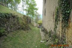 DSCN0988