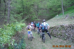 DSCN0990