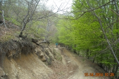 DSCN0993