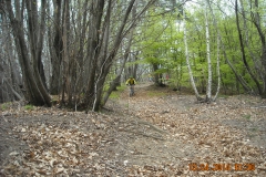 DSCN0996