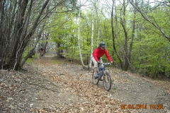 DSCN0998